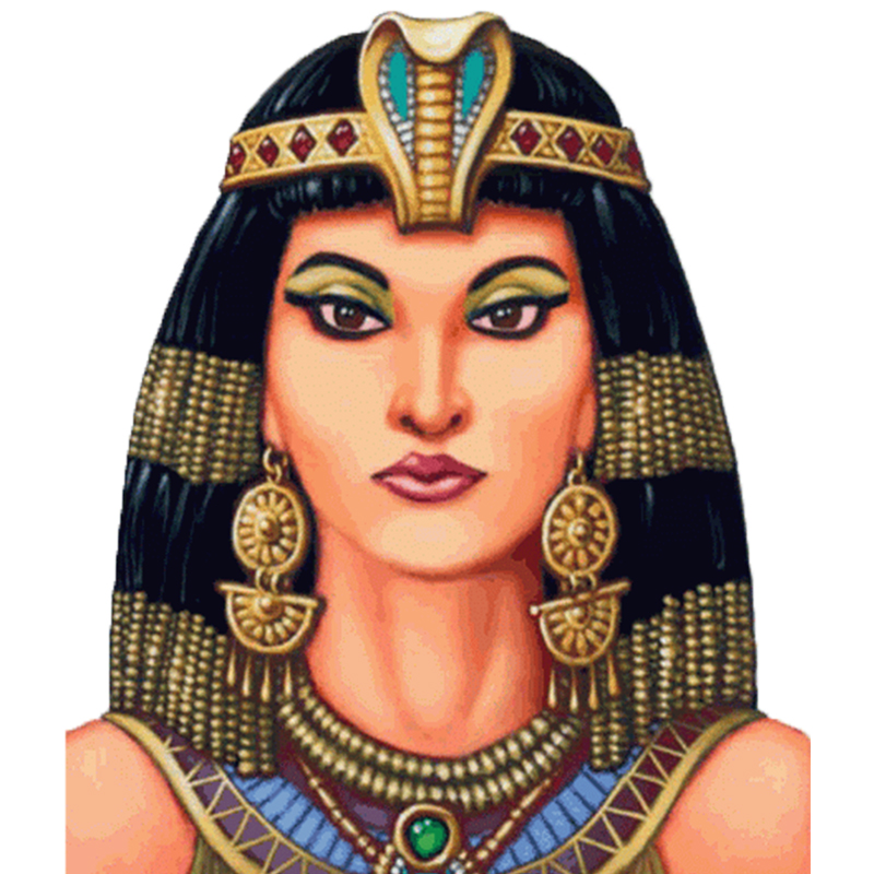 Loài Rắn Hình Mũ Trụ Cleopatra - đánh giá và giá Women Accessories Egypt